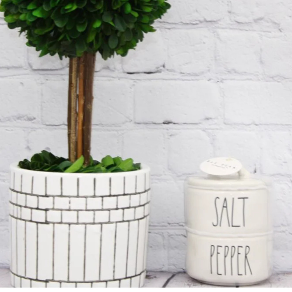 Rae Dunn Salt and Pepper Cellar